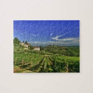 Italien, Toskana, Greve. Die Weinberge von Castell