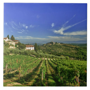 Italien, Toskana, Greve. Die Weinberge von Castell Fliese