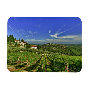 Italien, Toskana, Greve. Die Weinberge von Castell Magnet