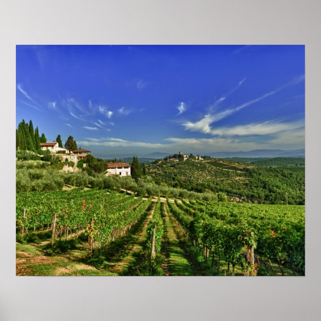 Italien, Toskana, Greve. Die Weinberge von Castell Poster (Vorne)