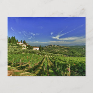 Italien, Toskana, Greve. Die Weinberge von Castell Postkarte