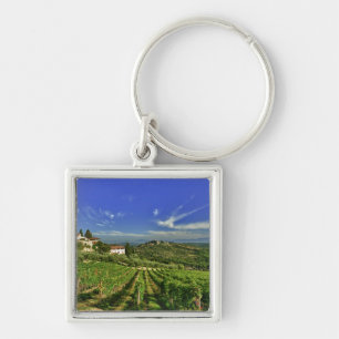 Italien, Toskana, Greve. Die Weinberge von Castell Schlüsselanhänger