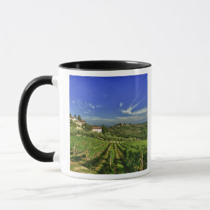 Italien, Toskana, Greve. Die Weinberge von Castell Tasse