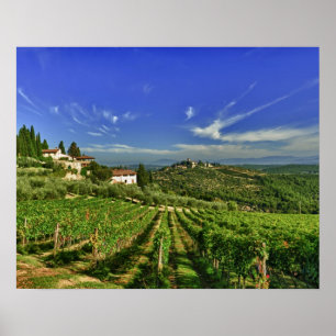 Italien, Toskana, Greve. Die Weinberge von Poster