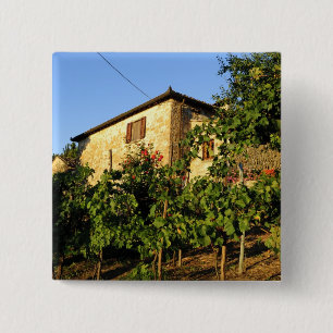Italien, Toskana, Greve. Weinlandschaft im Spätsom Button