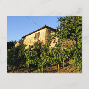 Italien, Toskana, Greve. Weinlandschaft im Spätsom Postkarte
