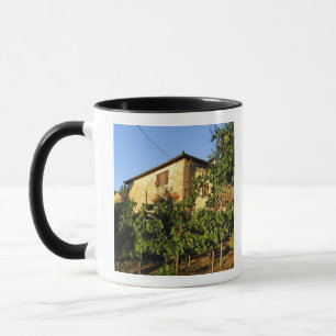 Italien, Toskana, Greve. Weinlandschaft im Spätsom Tasse