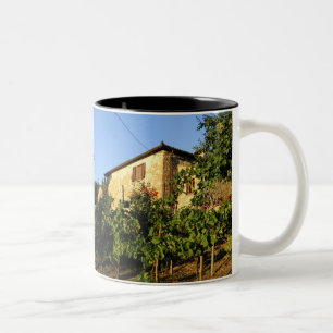 Italien, Toskana, Greve. Weinlandschaft im Spätsom Zweifarbige Tasse