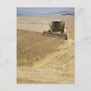 Italien. Toskana. Montalcino 4 Postkarte
