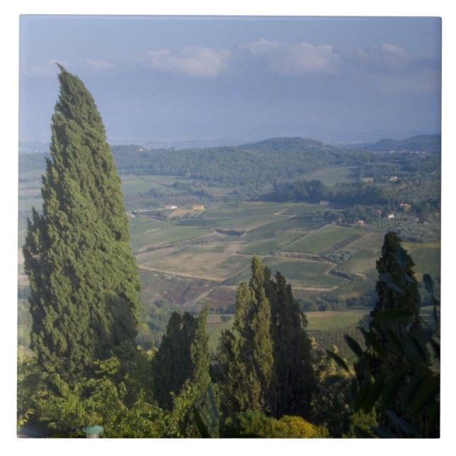 Italien, Toskana, Montepulciano. Ansicht der Fliese (Vorderseite)