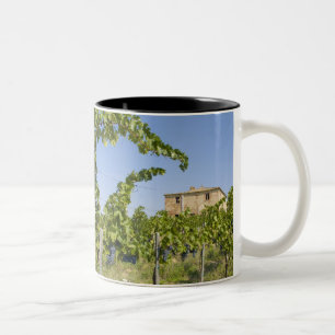 Italien, Toskana, Montepulciano. Weintrauben ferti Zweifarbige Tasse