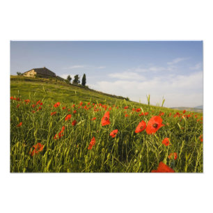 Italien, Toskana, Toskanische Villa im Frühling mi Fotodruck