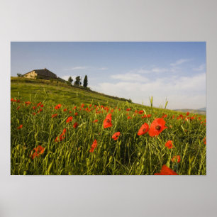 Italien, Toskana, Toskanische Villa im Frühling mi Poster