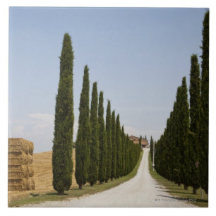 Italien. Toskana. Val D'Orcia (Orcia Tal) 3 Fliese