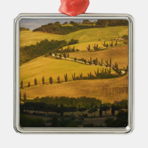 Italien, Toskana, ZigZag-Straße in der Toskana. Ornament Aus Metall