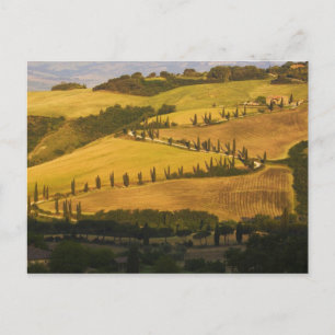 Italien, Toskana, ZigZag-Straße in der Toskana. Postkarte