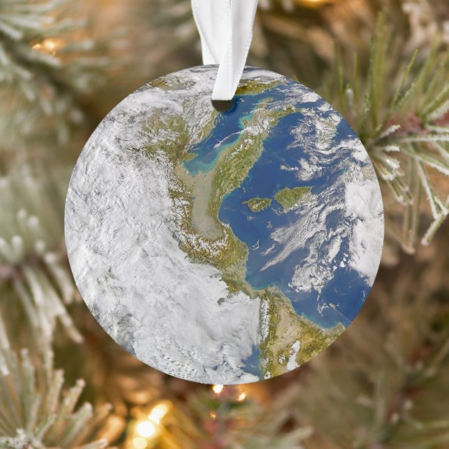 Italien und die Adria. Ornament (Baum)