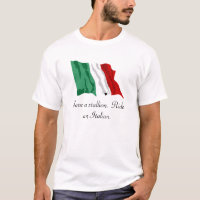 Italienisch-Flagge, retten einen Stallion. Reiten