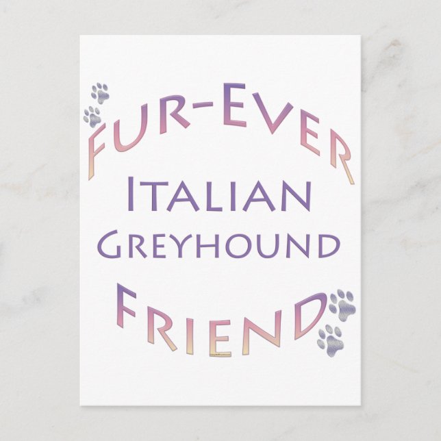 Italienisch Greyhound Furever Postkarte (Vorderseite)