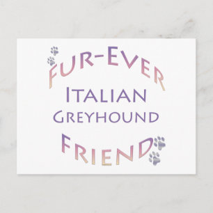 Italienisch Greyhound Furever Postkarte