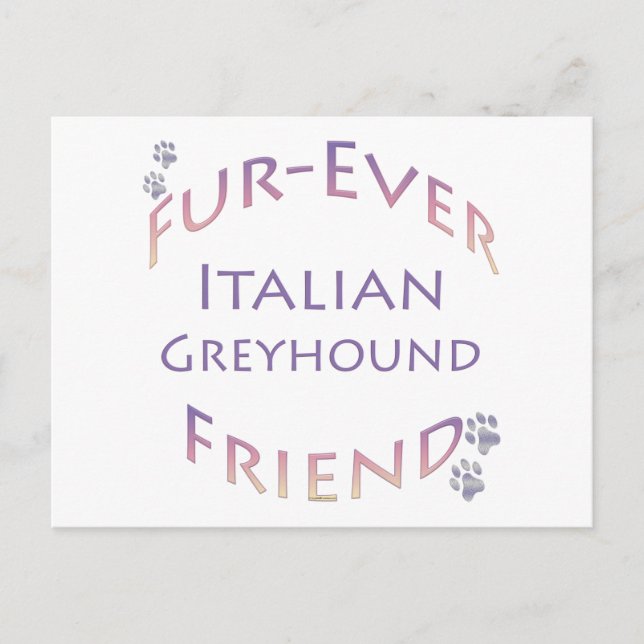 Italienisch Greyhound Furever Postkarte (Vorderseite)