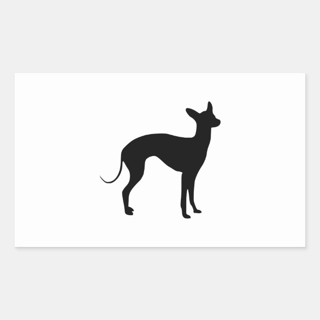 Italienisch Greyhound Rechteckiger Aufkleber (Vorderseite)