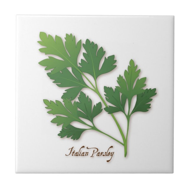 Italienisch Parsley Herb Tile Fliese (Vorderseite)