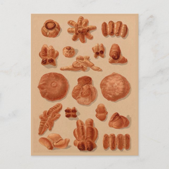 Italienische Breads Vintag Bakers Illustrationsdia Postkarte (Vorderseite)