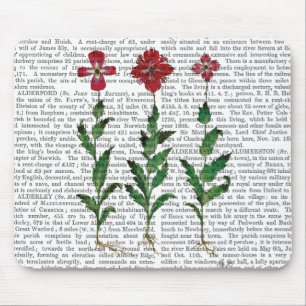 Italienische Gartennelke 1 Mousepad