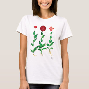 Italienische Gartennelke 2 T-Shirt