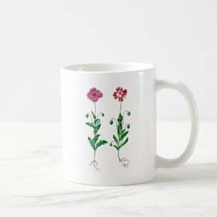 Italienische Gartennelke 3 Kaffeetasse
