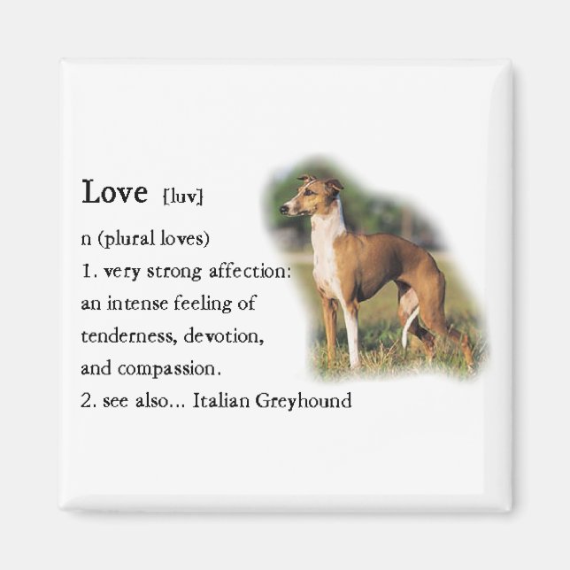 Italienische Grauhound Kunstgeschenke Magnet (Vorne)