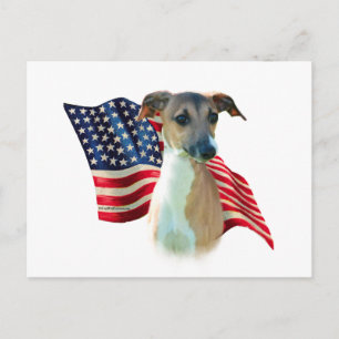 Italienische Greyhound-Flagge Postkarte