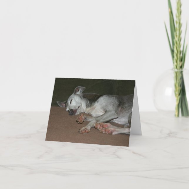 Italienische Greyhound-Karte #1 Karte (Vorderseite)