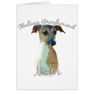 Italienische Greyhound-Mama 2