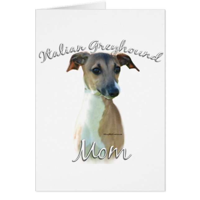 Italienische Greyhound-Mama 2 (Vorne)