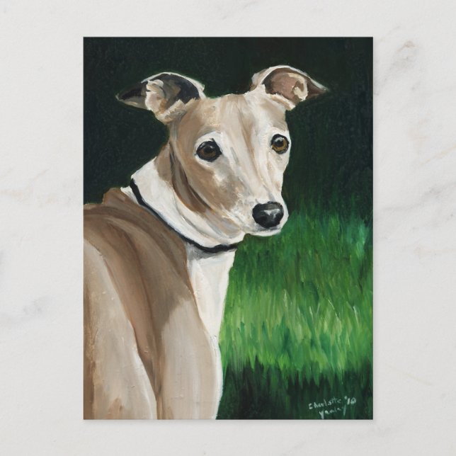 Italienische Greyhound Original Hunde Kunst Postka Postkarte (Vorderseite)