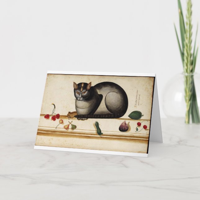 Italienische Katzengrüßkarte Karte (Vorderseite)