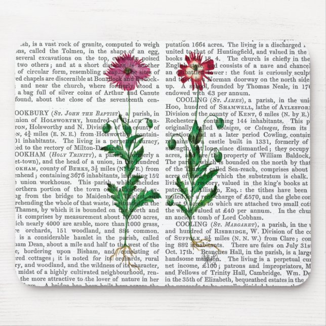 Italienische Nelke 3 Mousepad (Vorne)