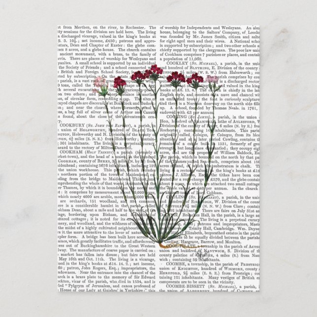 Italienische Nelke 4 Postkarte (Vorderseite)