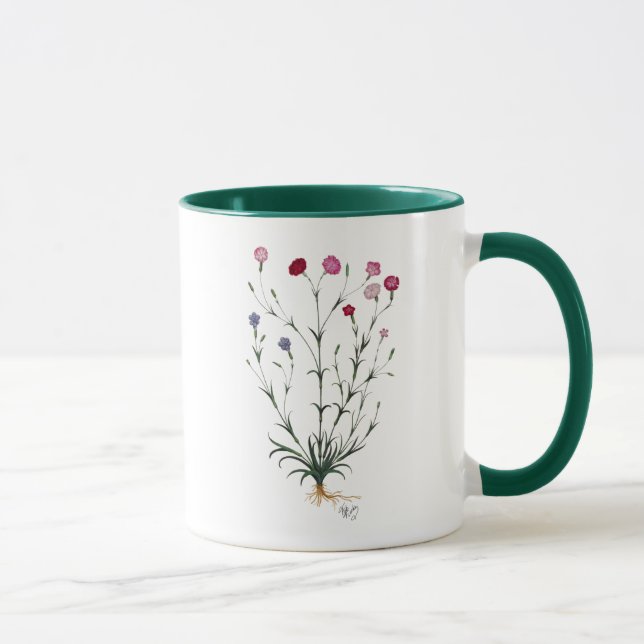 Italienische Nelke 5 Tasse (Rechts)
