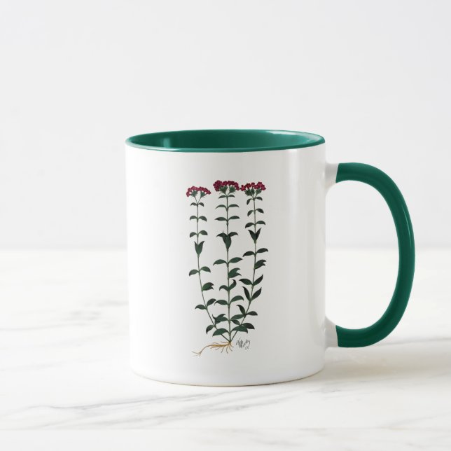 Italienische Nelke 6 Tasse (Rechts)