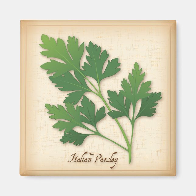Italienische Parsley Herb Magnet (Vorne)