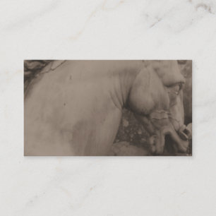 Italienische Renaissance-PferdeVisitenkarten Visitenkarte