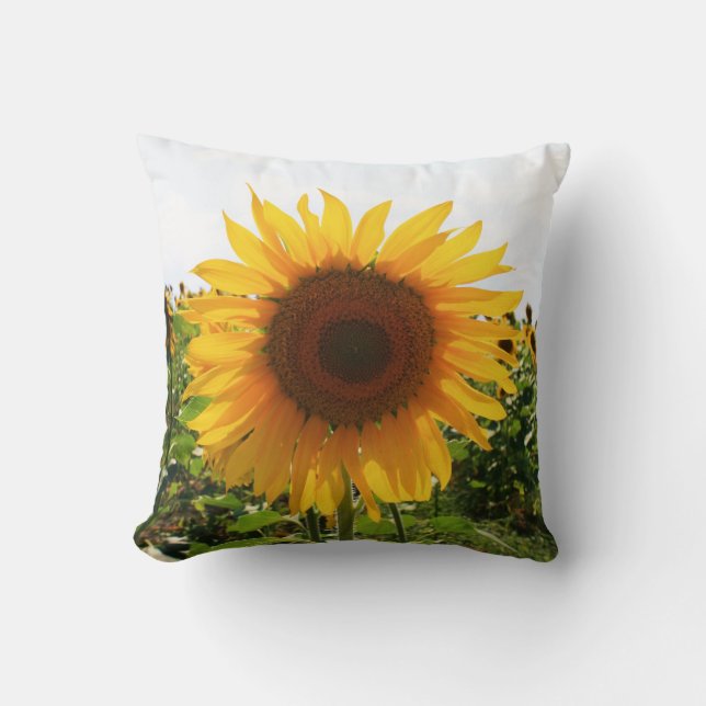 Italienische Sonnenblume Kissen (Vorderseite)
