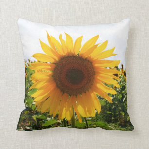 Italienische Sonnenblume Kissen