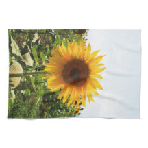 Italienische Sonnenblume