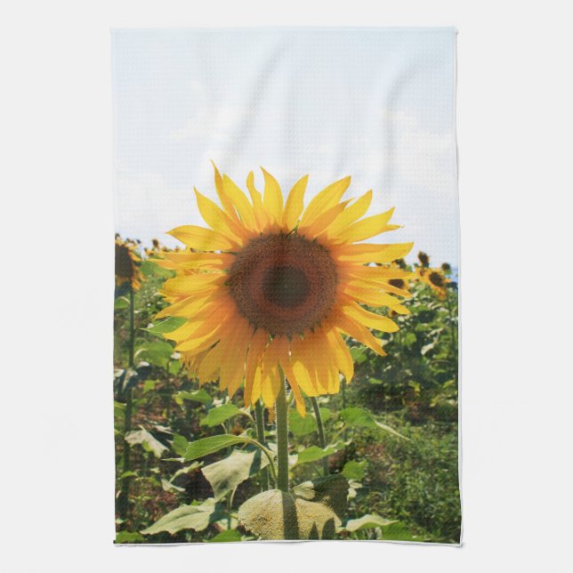 Italienische Sonnenblume Küchentuch (Vertikal)