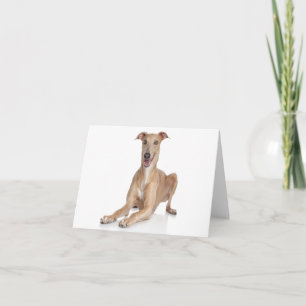Italienische Windhund-Welpen-Hund Leer Notiz Karte