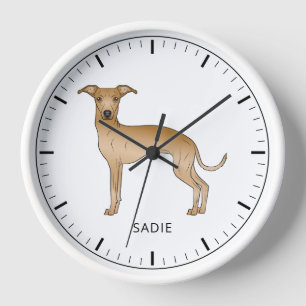 Italienischer Grauhund Niedlicher Hund mit benutze Uhr